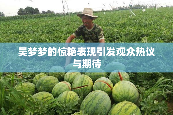 吴梦梦的惊艳表现引发观众热议与期待