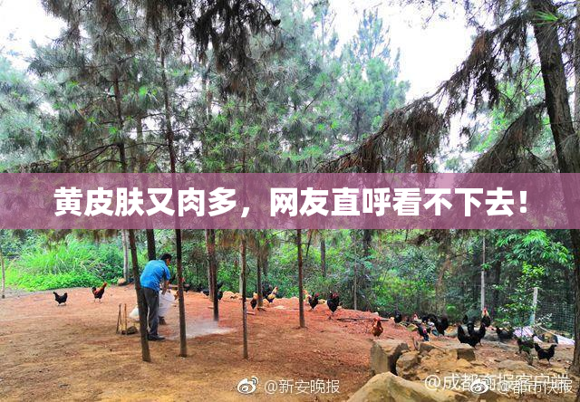 黄皮肤又肉多，网友直呼看不下去！