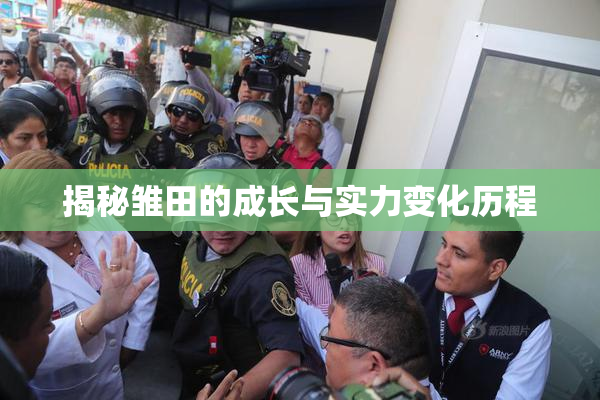 揭秘雏田的成长与实力变化历程