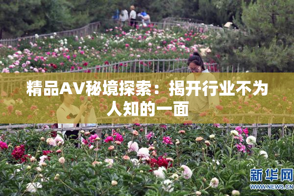 精品AV秘境探索：揭开行业不为人知的一面