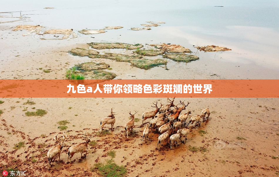 九色a人带你领略色彩斑斓的世界