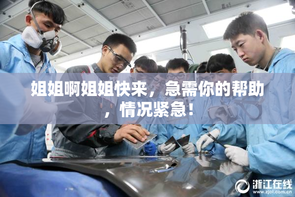 姐姐啊姐姐快来，急需你的帮助，情况紧急！