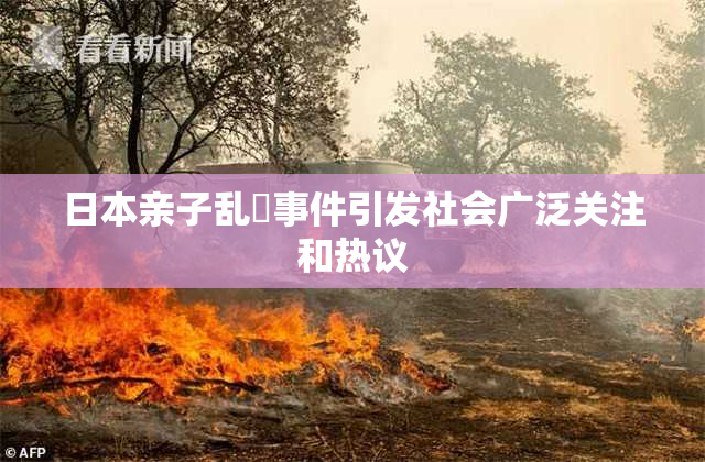 日本亲子乱婬事件引发社会广泛关注和热议