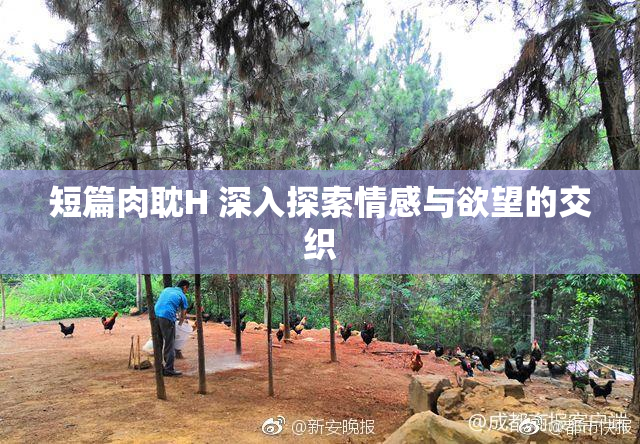 短篇肉耽H 深入探索情感与欲望的交织