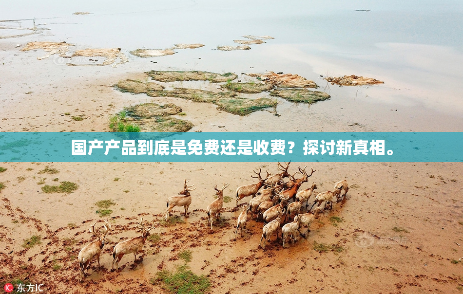 国产产品到底是免费还是收费？探讨新真相。