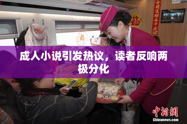 成人小说引发热议，读者反响两极分化