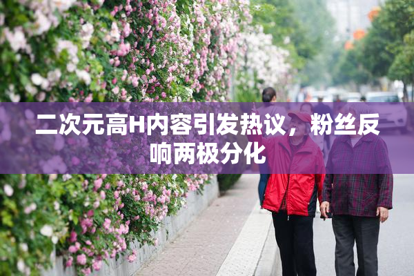二次元高H内容引发热议，粉丝反响两极分化