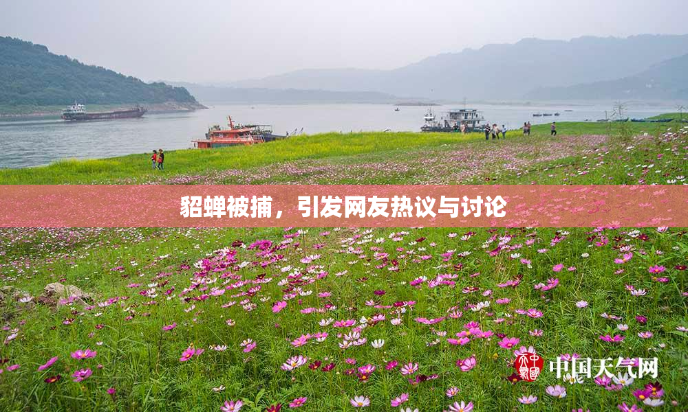貂蝉被捕，引发网友热议与讨论