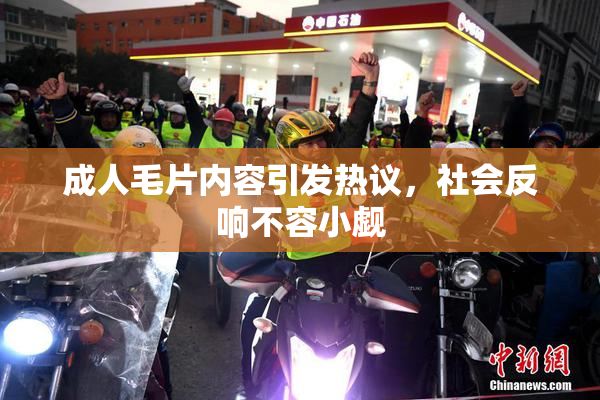 成人毛片内容引发热议，社会反响不容小觑