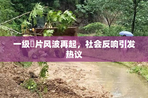 一级婬片风波再起，社会反响引发热议