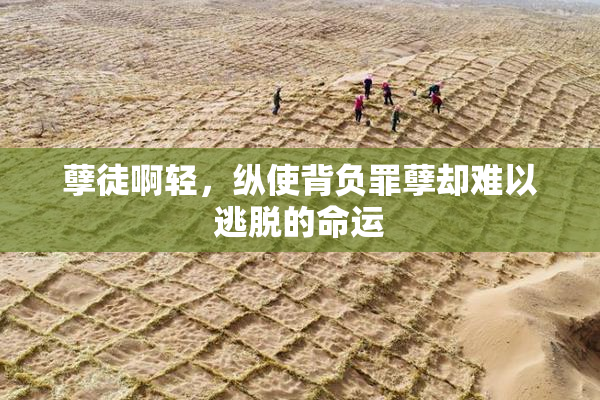 孽徒啊轻，纵使背负罪孽却难以逃脱的命运