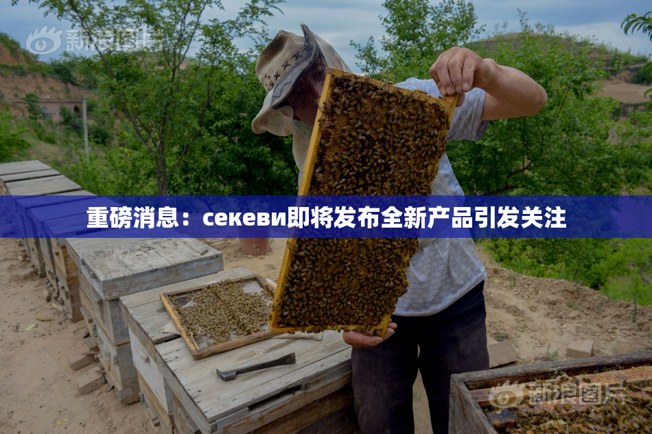 重磅消息：ceкеви即将发布全新产品引发关注