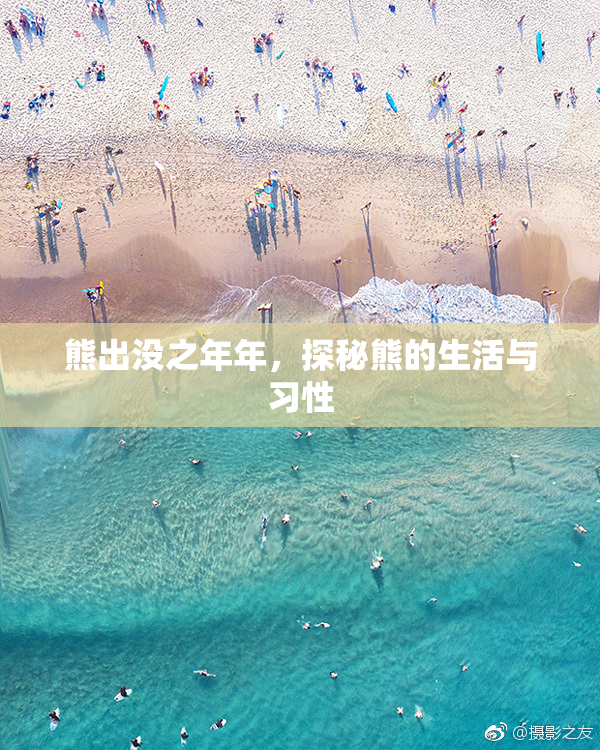 熊出没之年年，探秘熊的生活与习性