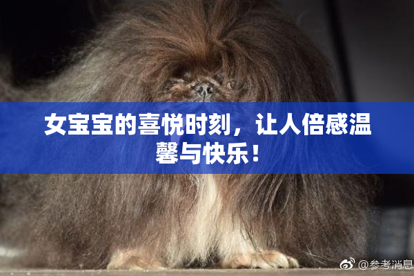 女宝宝的喜悦时刻，让人倍感温馨与快乐！