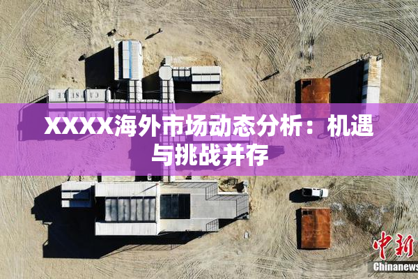 XXXX海外市场动态分析：机遇与挑战并存