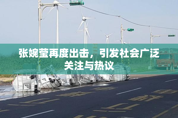张婉莹再度出击，引发社会广泛关注与热议