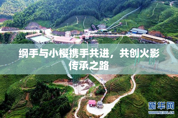 纲手与小樱携手共进，共创火影传承之路