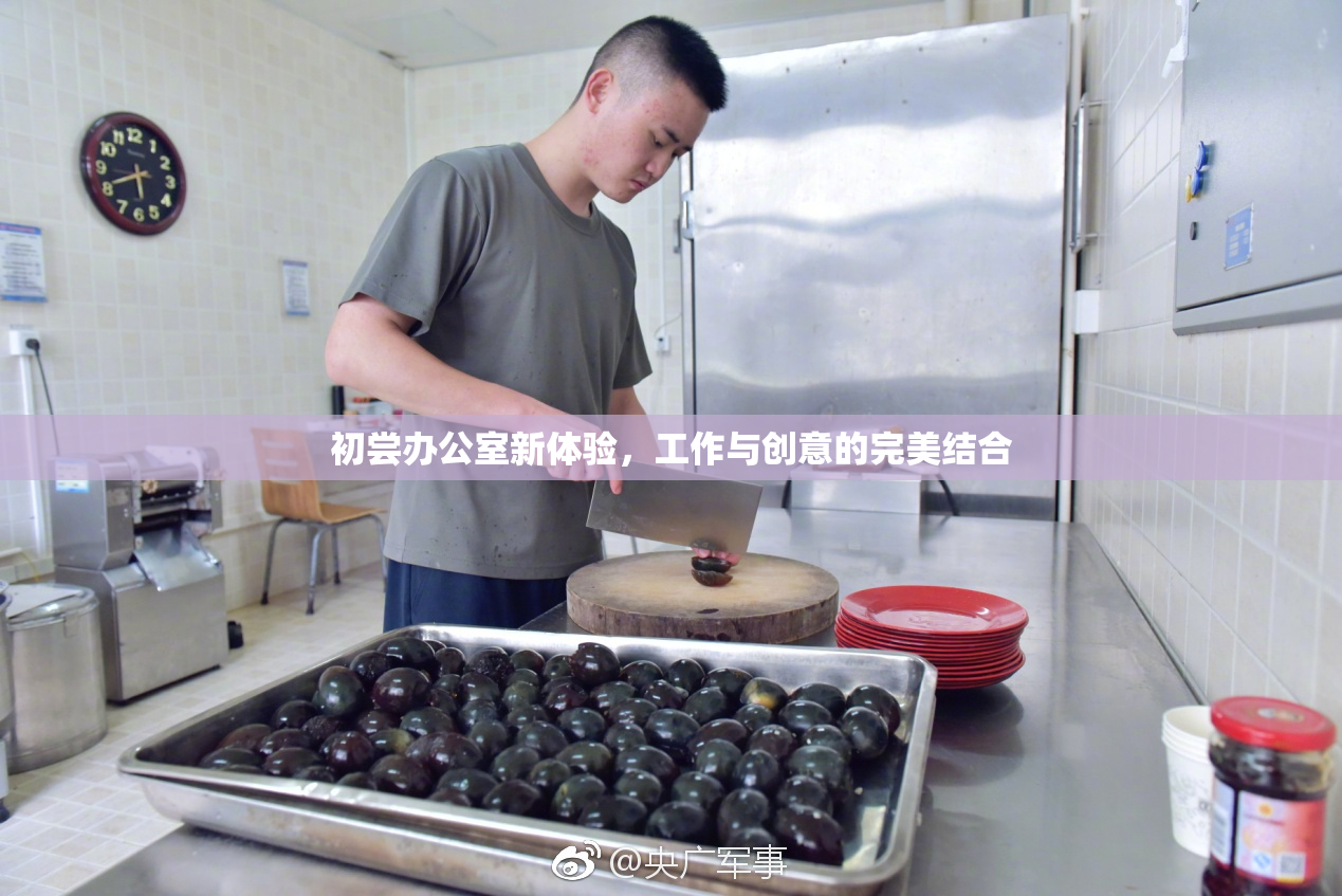 初尝办公室新体验，工作与创意的完美结合