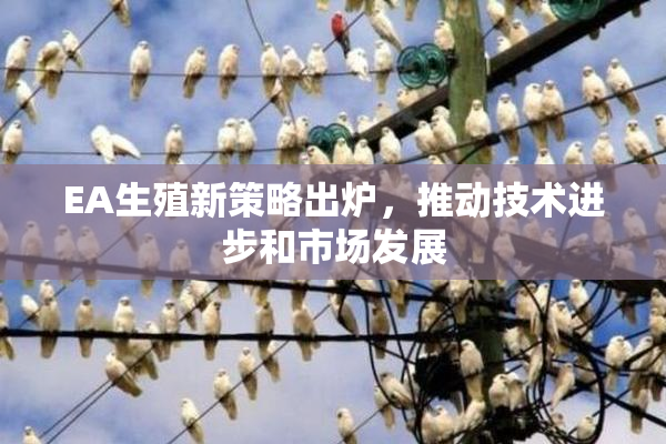 EA生殖新策略出炉，推动技术进步和市场发展
