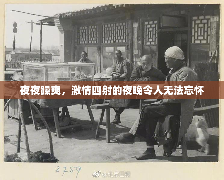 夜夜躁爽，激情四射的夜晚令人无法忘怀