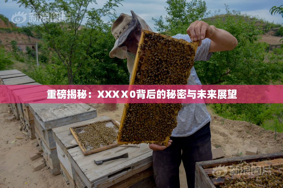 重磅揭秘：XXXⅩ0背后的秘密与未来展望