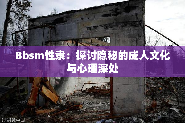 Bbsm性隶：探讨隐秘的成人文化与心理深处