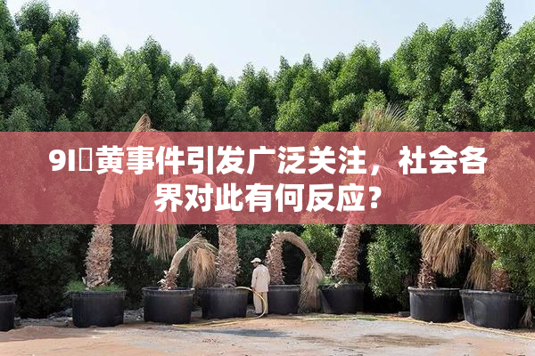 9I婬黄事件引发广泛关注，社会各界对此有何反应？