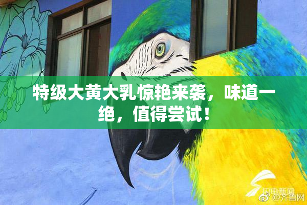特级大黄大乳惊艳来袭，味道一绝，值得尝试！