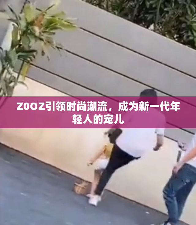 Z0OZ引领时尚潮流，成为新一代年轻人的宠儿