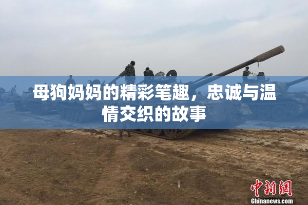 母狗妈妈的精彩笔趣，忠诚与温情交织的故事