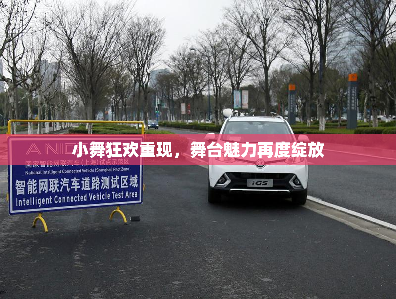 小舞狂欢重现，舞台魅力再度绽放