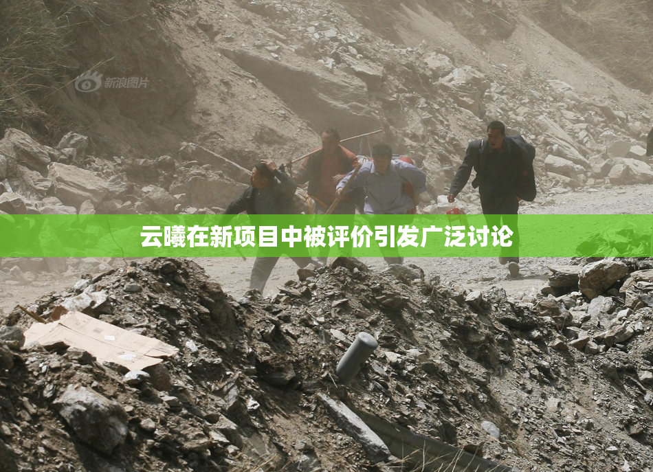 云曦在新项目中被评价引发广泛讨论
