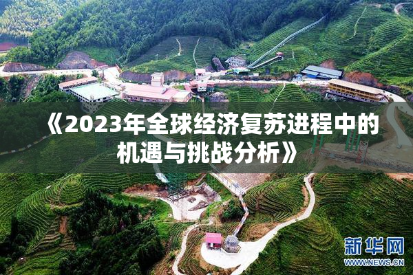 《2023年全球经济复苏进程中的机遇与挑战分析》