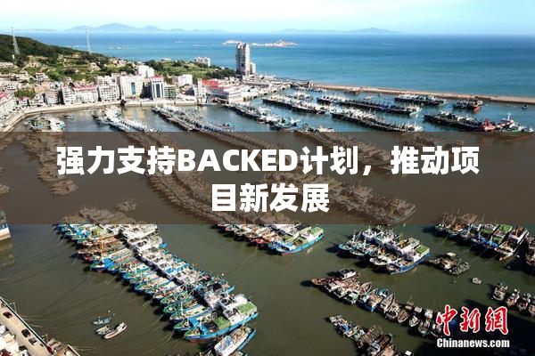 强力支持BACKED计划，推动项目新发展