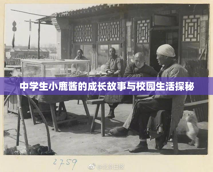 中学生小鹿酱的成长故事与校园生活探秘