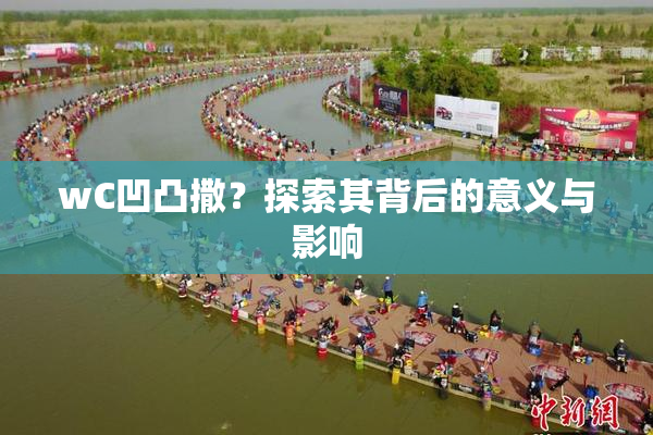 wC凹凸撒？探索其背后的意义与影响
