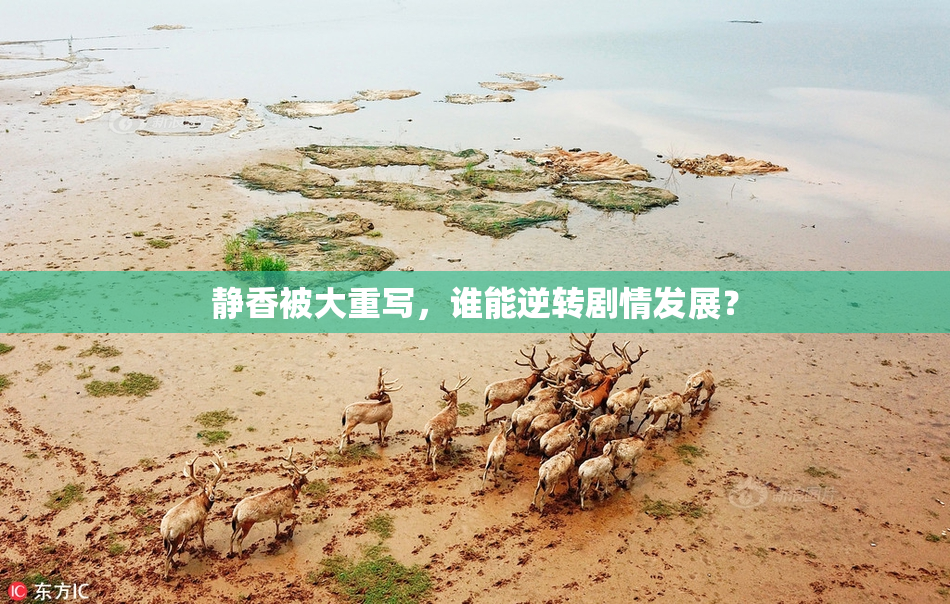 静香被大重写，谁能逆转剧情发展？