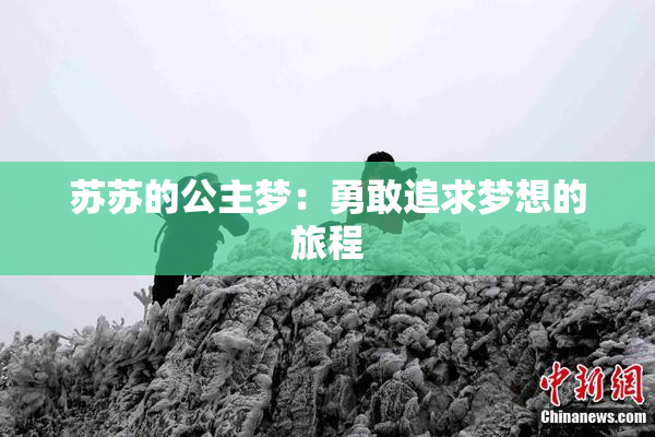 苏苏的公主梦：勇敢追求梦想的旅程