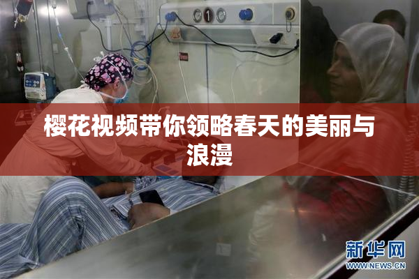 樱花视频带你领略春天的美丽与浪漫