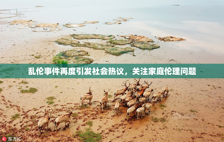 乱伦事件再度引发社会热议，关注家庭伦理问题