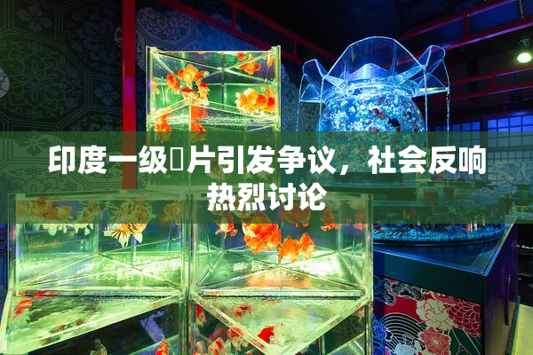 印度一级婬片引发争议，社会反响热烈讨论
