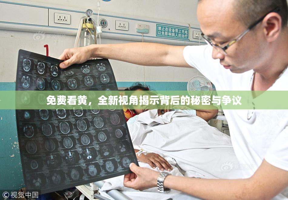 免费看黄，全新视角揭示背后的秘密与争议