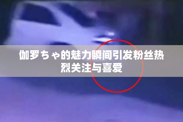 伽罗ちゃ的魅力瞬间引发粉丝热烈关注与喜爱