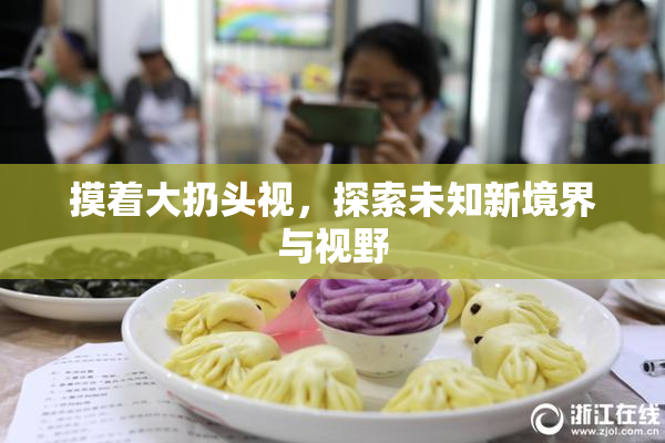 摸着大扔头视，探索未知新境界与视野
