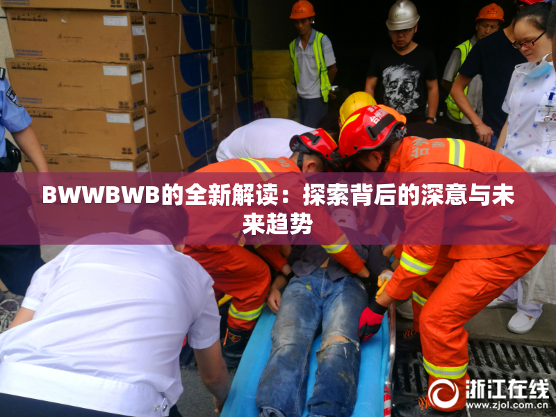 BWWBWB的全新解读：探索背后的深意与未来趋势