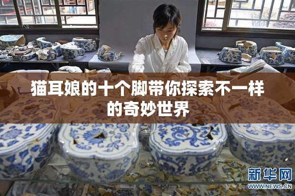 猫耳娘的十个脚带你探索不一样的奇妙世界