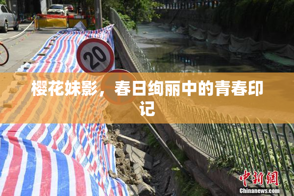 樱花妹影，春日绚丽中的青春印记