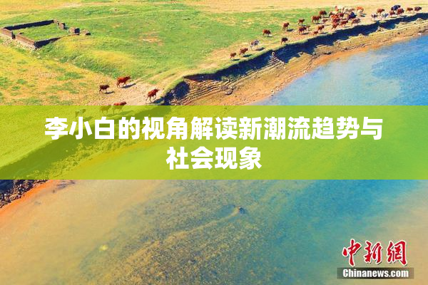 李小白的视角解读新潮流趋势与社会现象