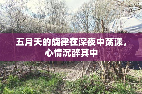 五月天的旋律在深夜中荡漾，心情沉醉其中