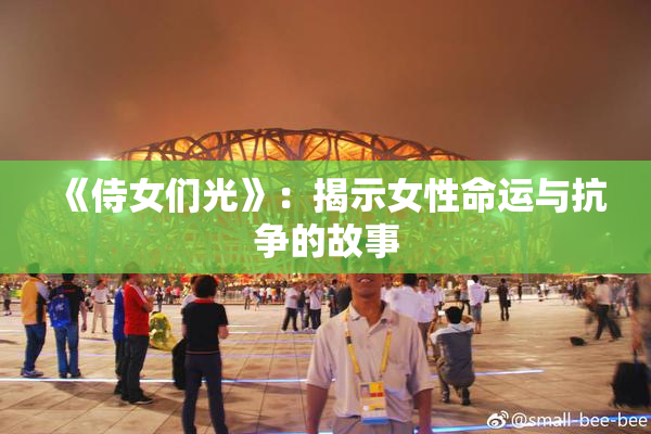 《侍女们光》：揭示女性命运与抗争的故事